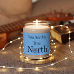 a holiday image of the DFS soy based You are my true north candles