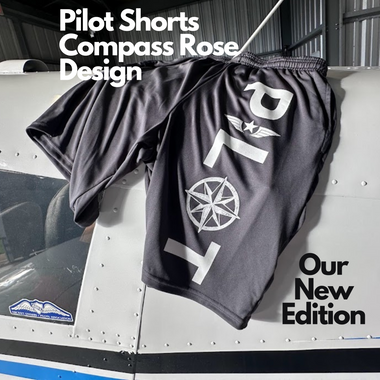 an image of DFS pilot shorts compass rose design on a piper cherokee airplane