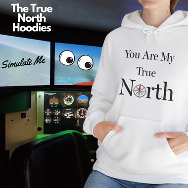 an image of flight simulator and a DFS You are my true north hoodie