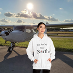 an image of airplane and a DFS You are my true north hoodie