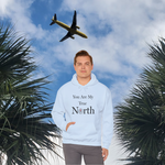 an image of spirit airlines airplane and a DFS You are my true north hoodie